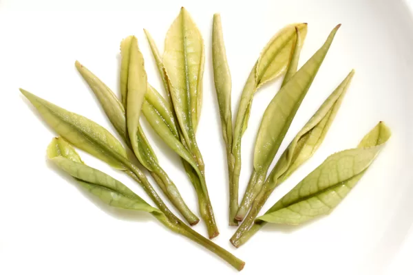 Anji Bai Cha Green Tea